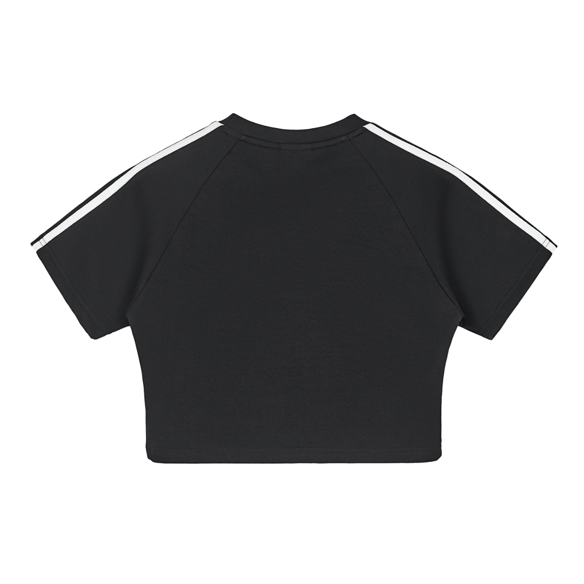 PARED Volley Crop